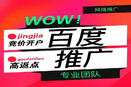 百度推广成功案例：助力企业拓展海外市场