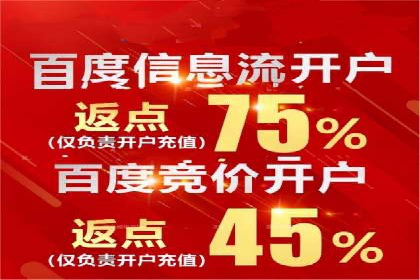 案例分析：SEM推广助力行业竞争突围